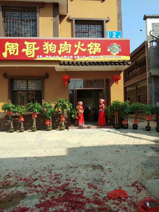 周哥狗肉活过
