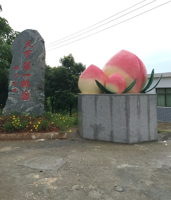 江西联大水蜜桃生态园