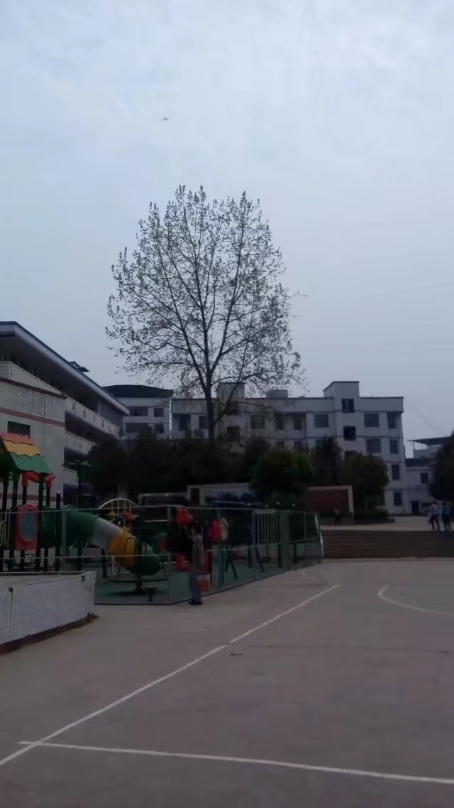 新河村地名网_四川省南充市营山县西桥镇新河村资料简介