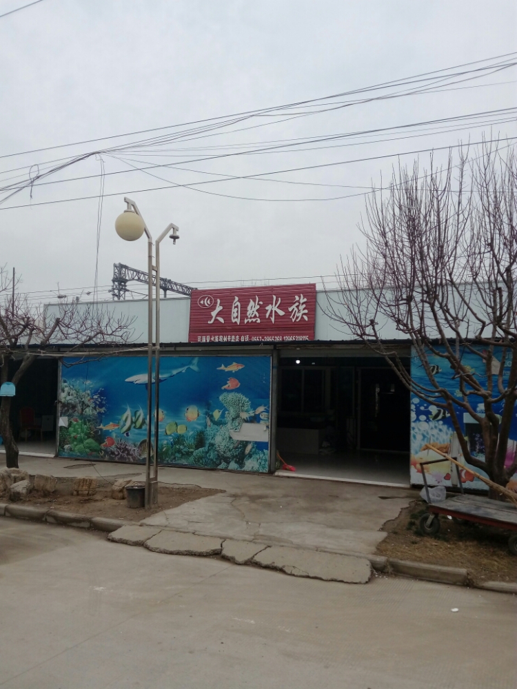 宿州市可丽爱大自来水族