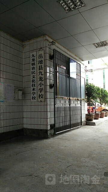 岳池县九龙小学校