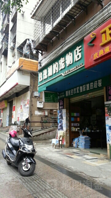 玫瑰湖的动物店