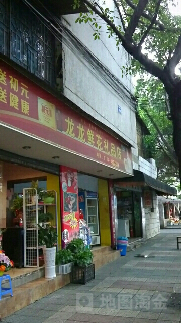 龙龙鲜花礼品店