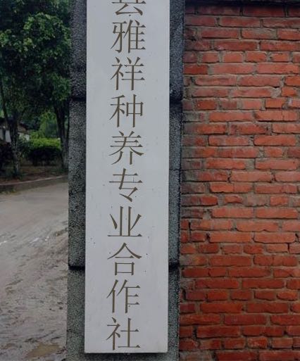 容县杨梅镇红石村扶库四队