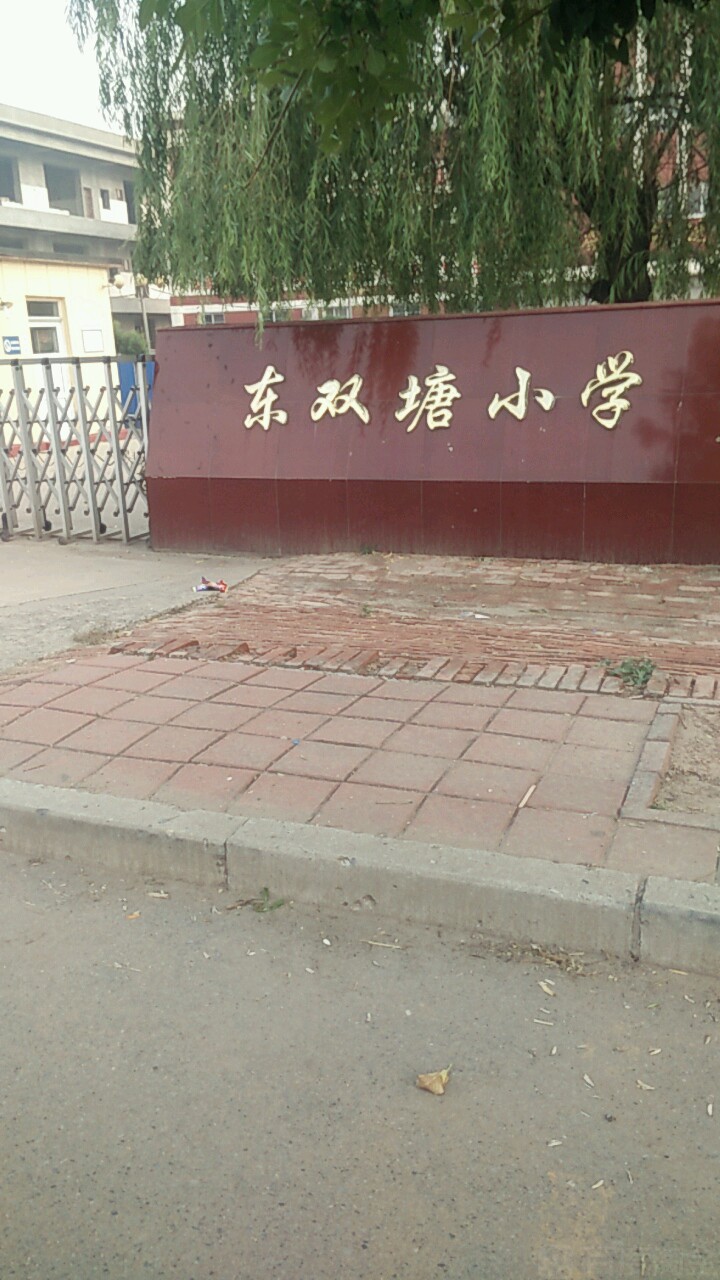 天津市静海区双塘东双塘小学(杨高路东80米)