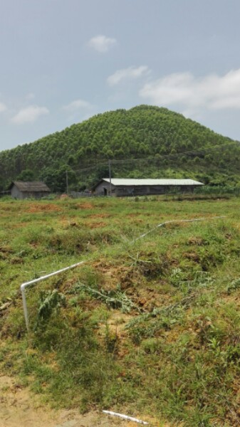 广东省河源市东源县漳溪镇井背村高寨