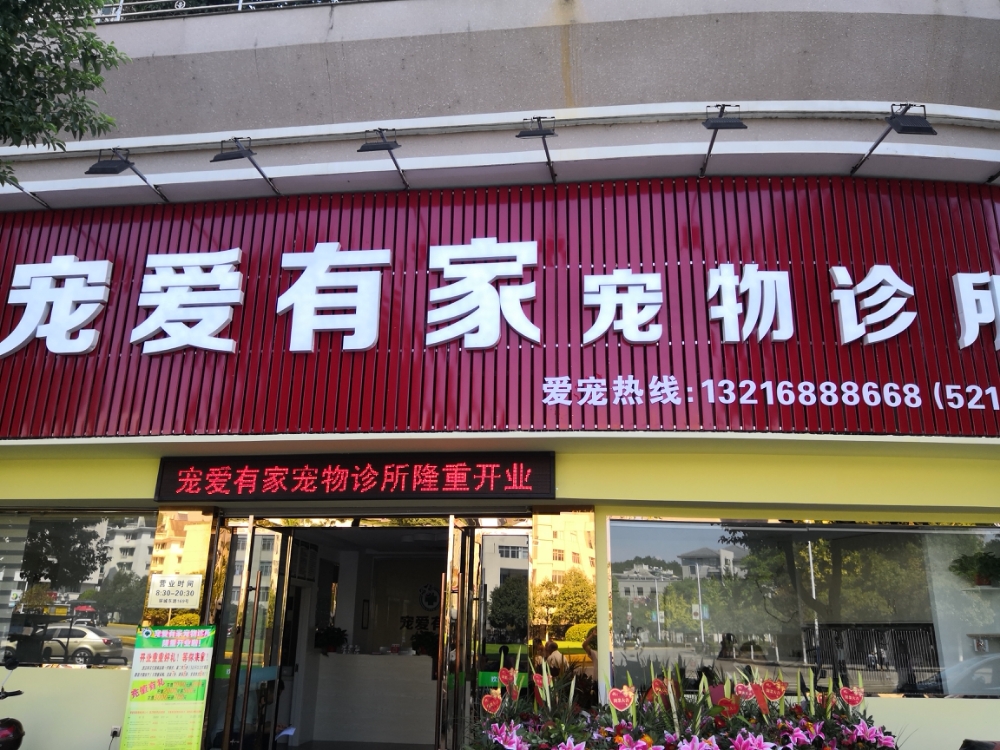 宠爱有家(环城东路店)