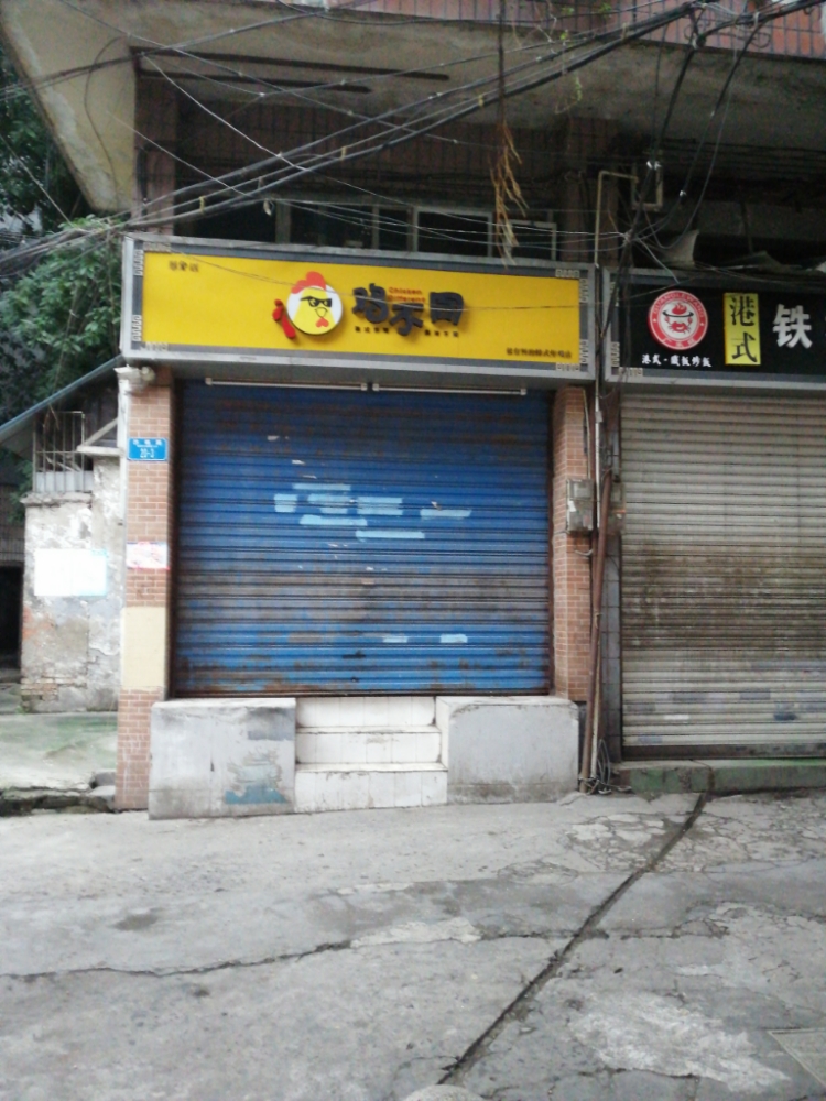鸡不同