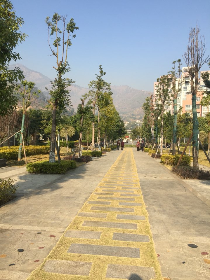 迷阳水岸