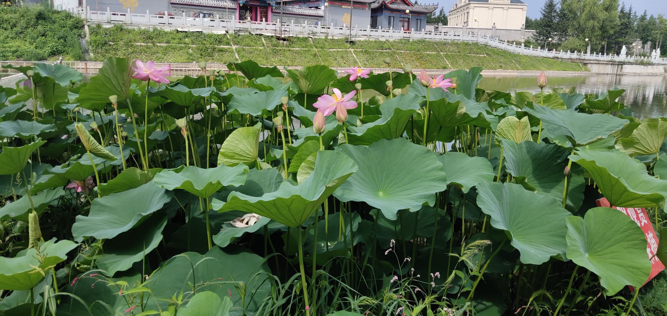南山慈善寺