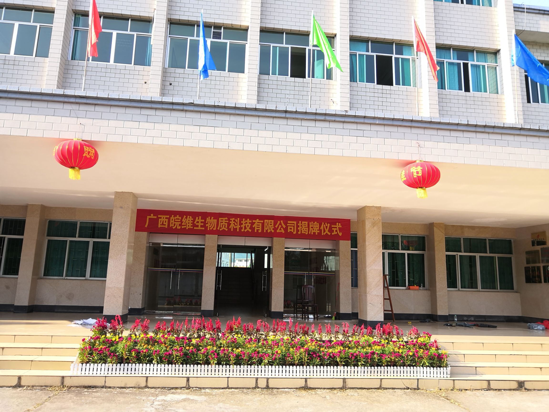 广西皖维生物质科技有限公司