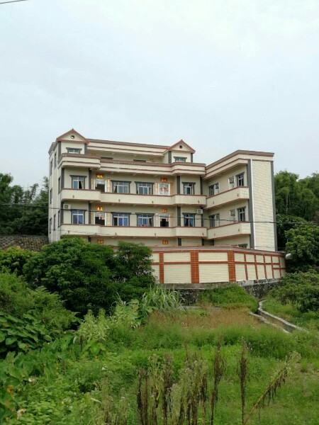 广东省茂名市高州市根子镇柏桥大坝田心大道1号