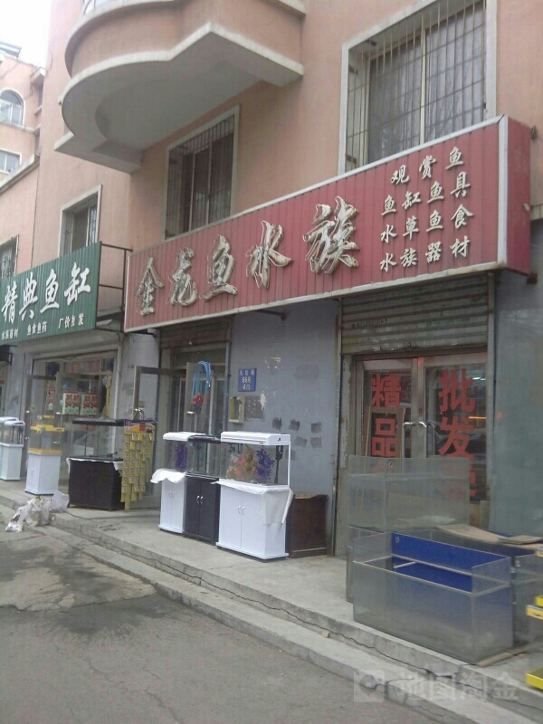 金隆宇水族(马壮街店)