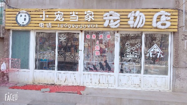 小宠当家宠物店(锦葫路店)