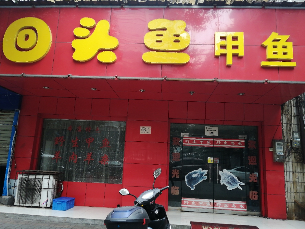 回头客甲鱼