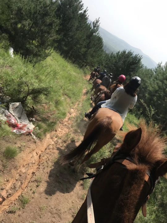 野骑部落休闲农庄