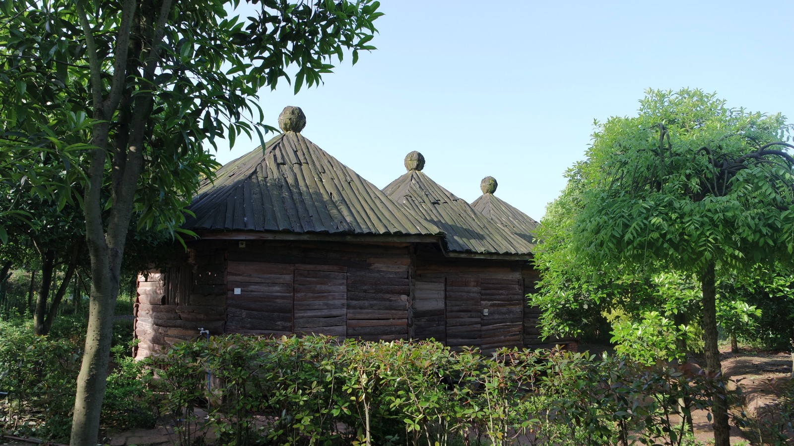 金鄉蓮花農莊 地址:丁家街道蓮花壩村2組