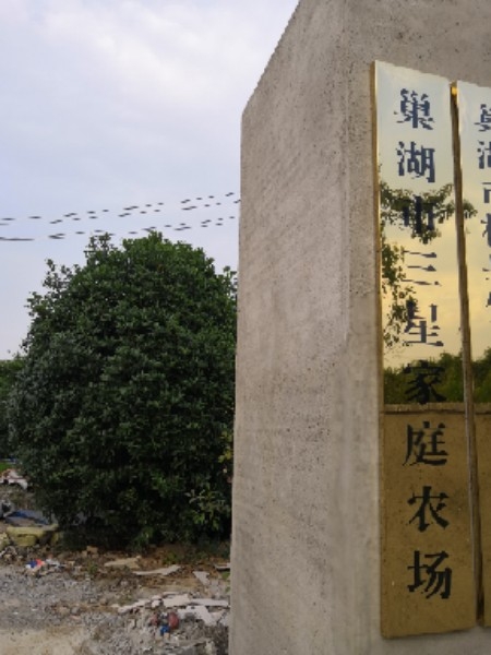 三星村地名网_安徽省合肥市巢湖市柘皋镇三星村资料简介