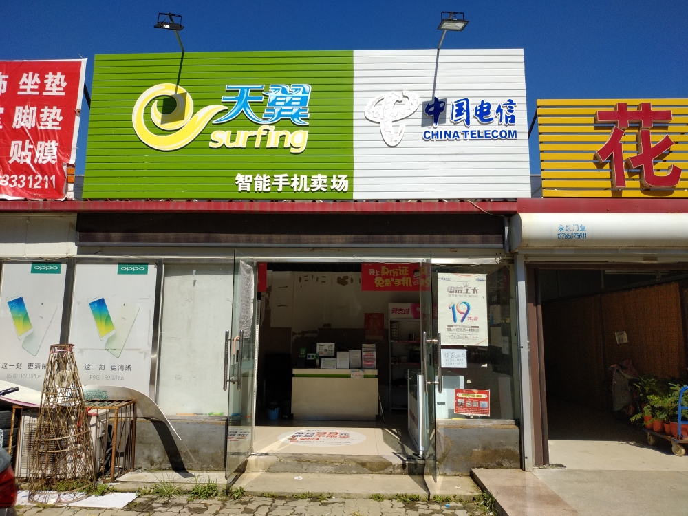 芳佳花卉(长江西道店)