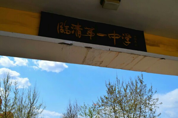 山东省临清市第一中学