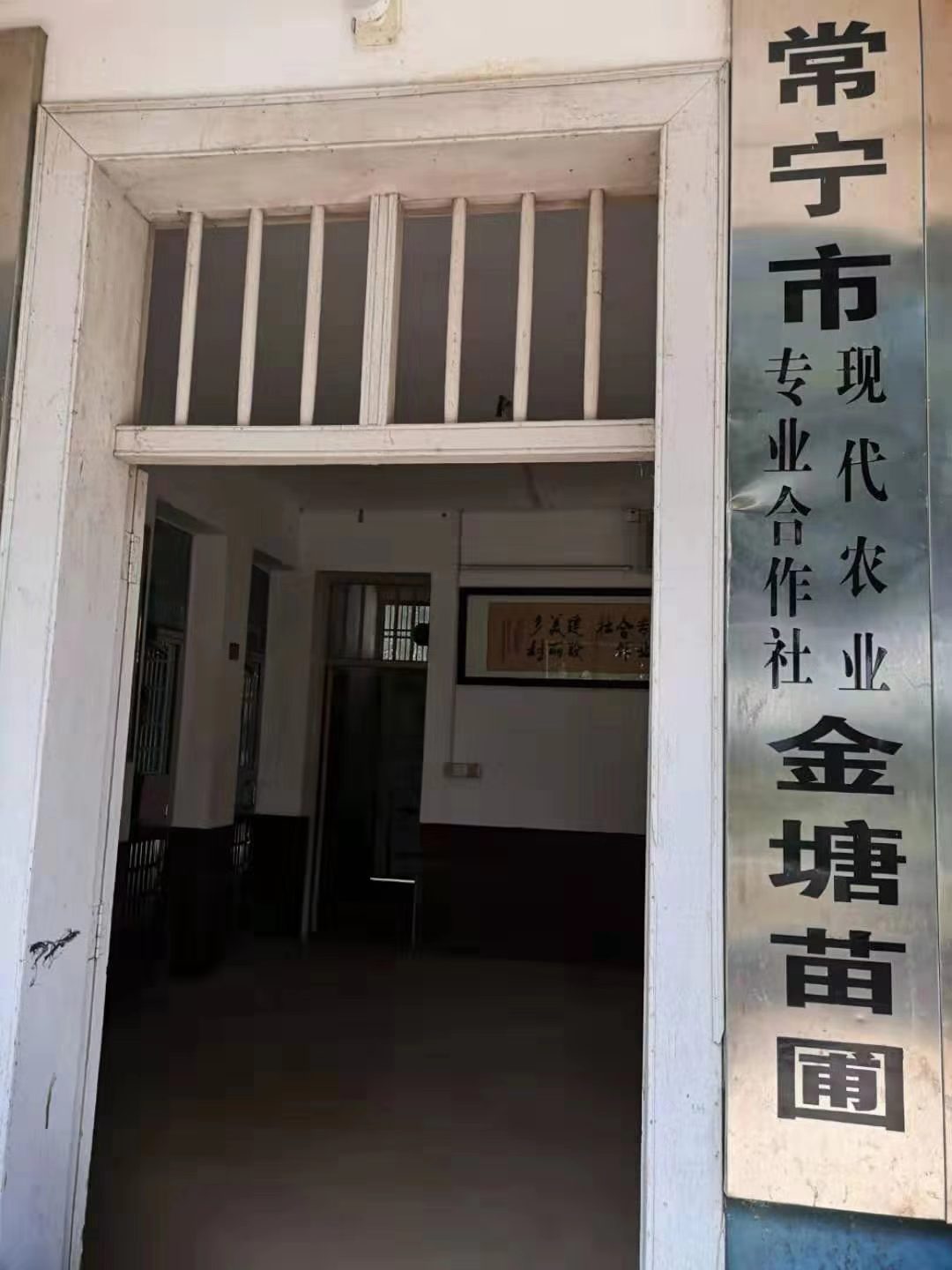 常宁市金塘苗圃