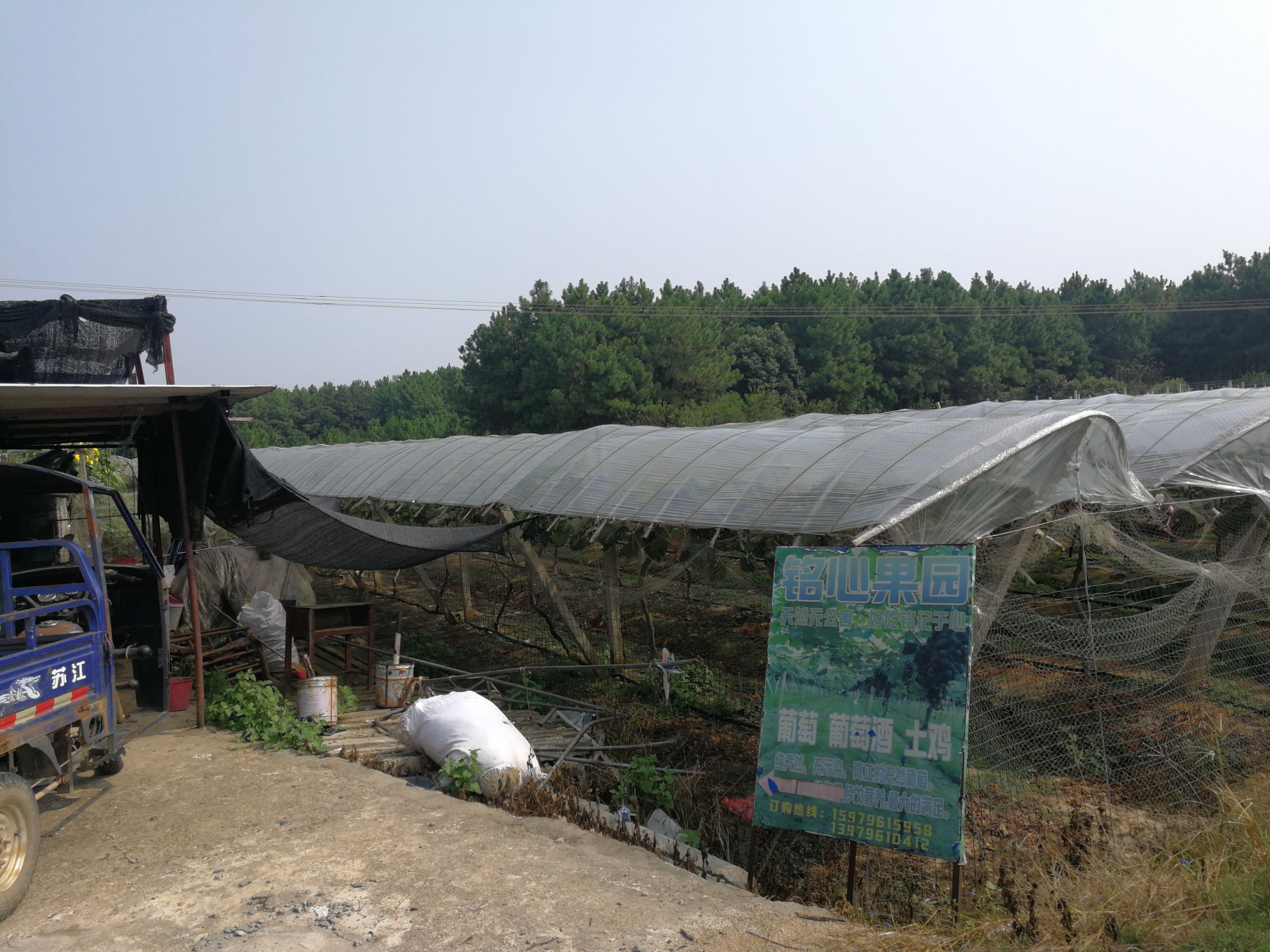 江西省吉安市吉安县横江镇白沂村