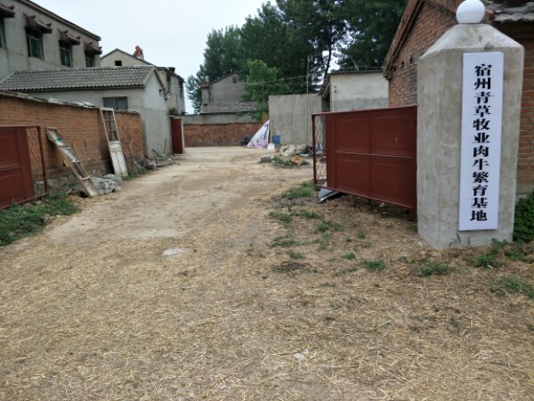 小山口村地名网_安徽省宿州市埇桥区曹村镇小山口村资料简介