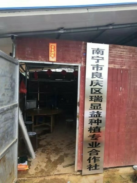 南宁市良庆区那陈镇七齐村堂坡鸡罩岭