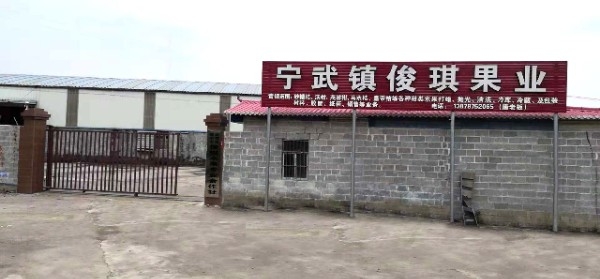 俊琪果业
