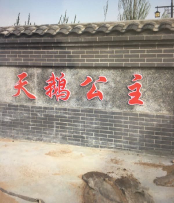 天鹅公主