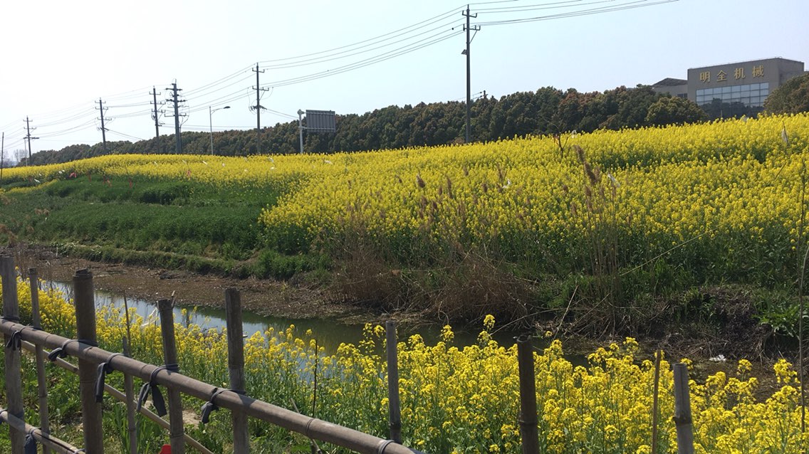 粤海城市