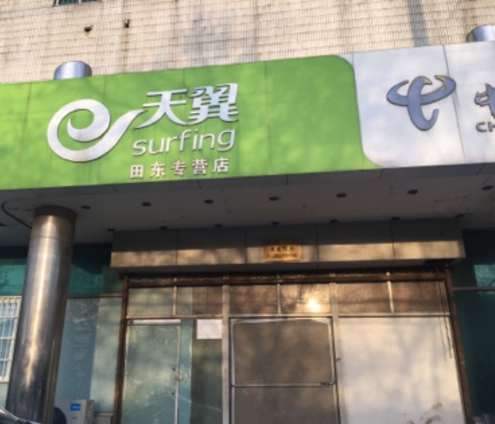 中国电信(田东专营店)