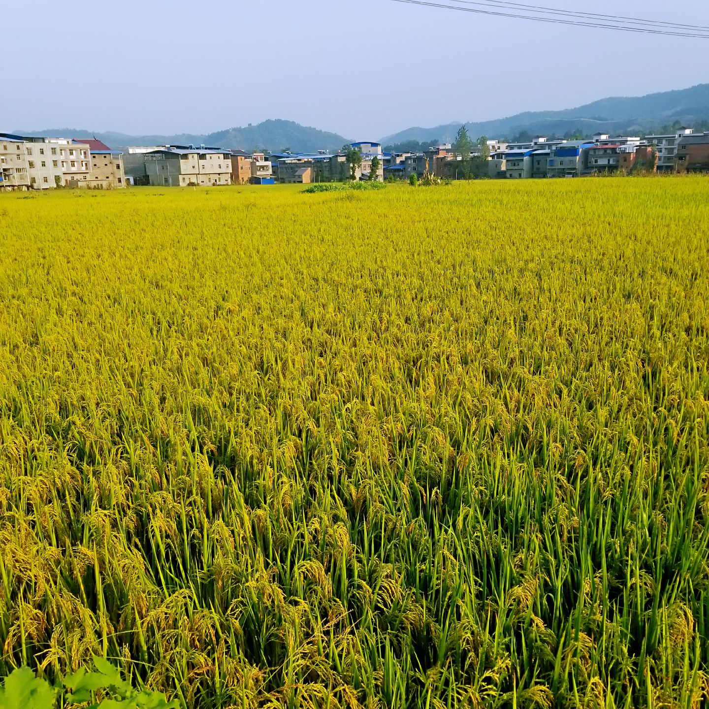 重庆市云阳县