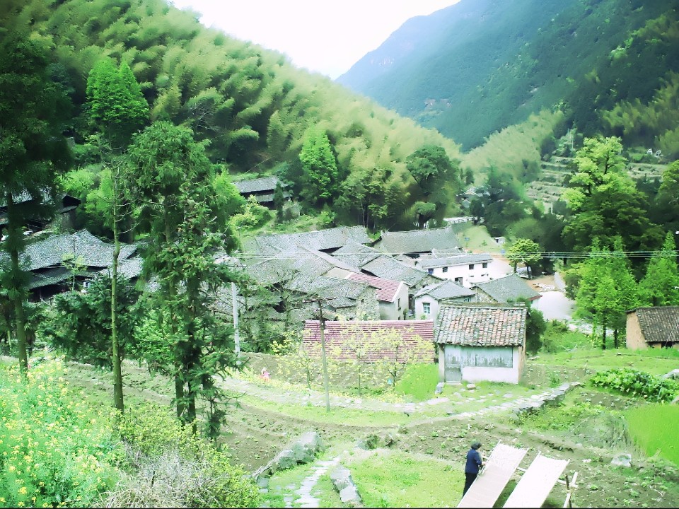 浙江省丽水市温州青田县泽雅风景区