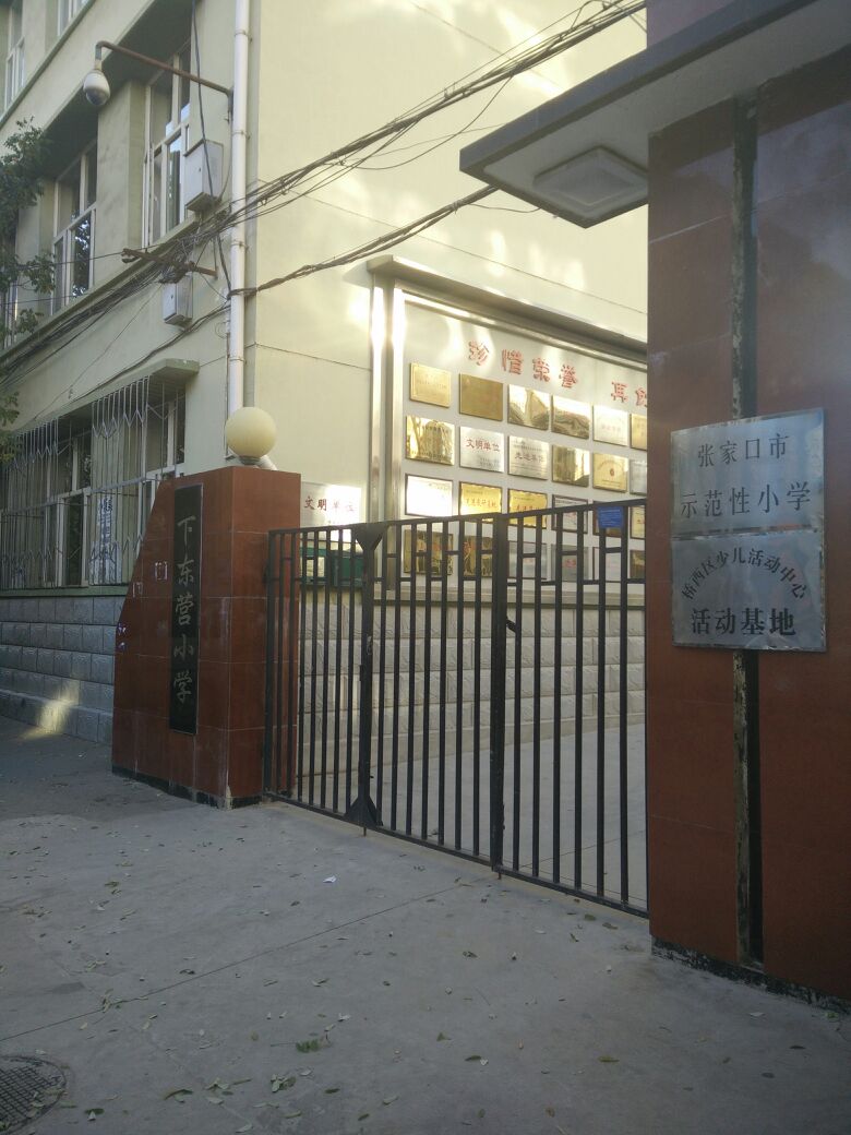 下东营小学