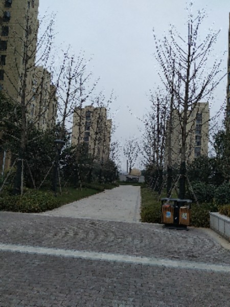 郑州市惠济区绿源路建业运河上院西北侧约280米