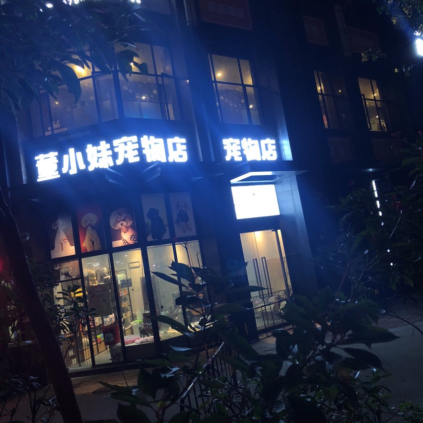 董小妹宠物店