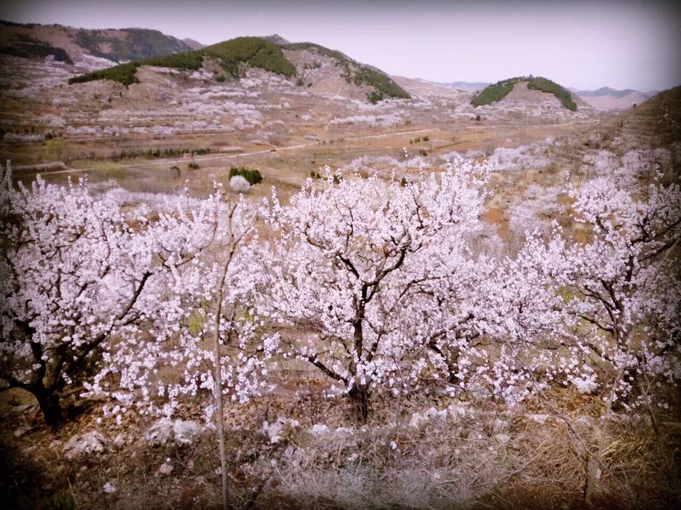 唐山市遵化市