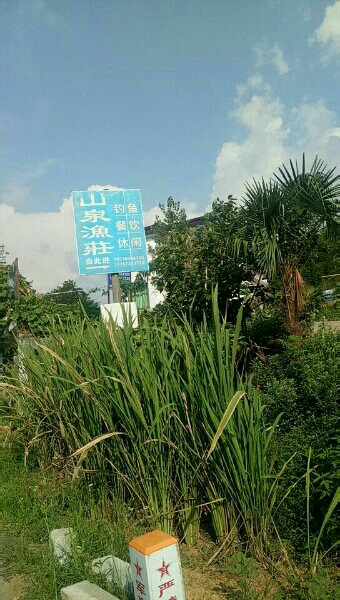 山泉渔荘