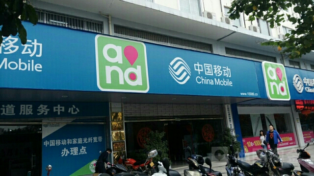 中国移动(右江分公司)