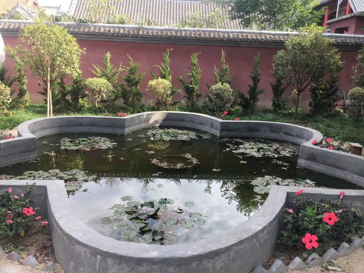 炼真宫