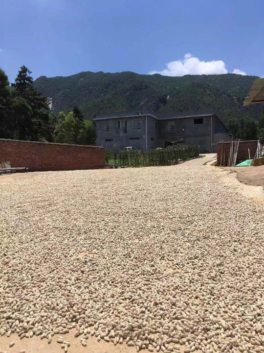 福建省龙岩市连城县文亨镇田心村竹盘山