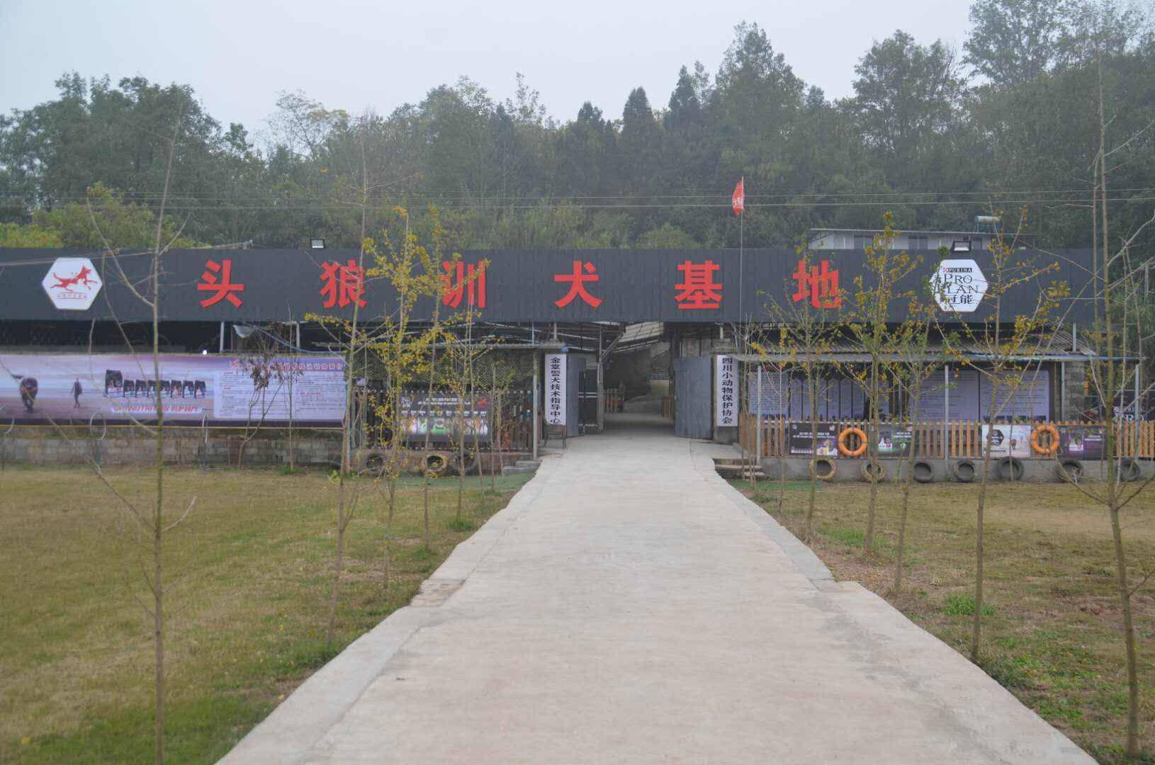 头狼训犬基地