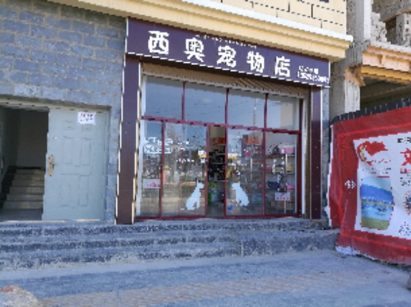 西奥宠物店