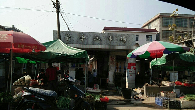 广西壮族自治区桂林市全州县龙水镇全大线