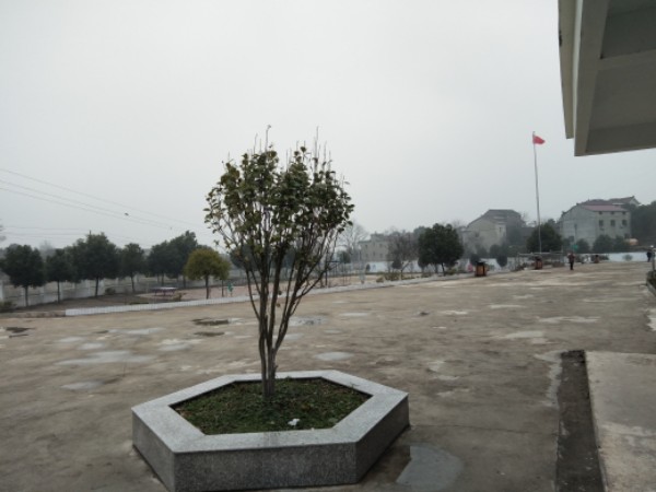 安徽省铜陵市枞阳县东边小学