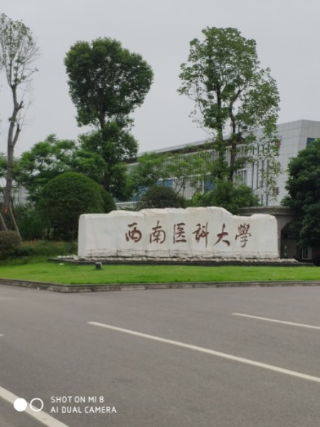 西南医科大学(城北校区)