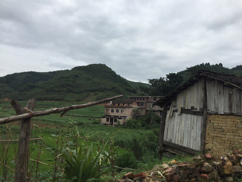 百色市田东县