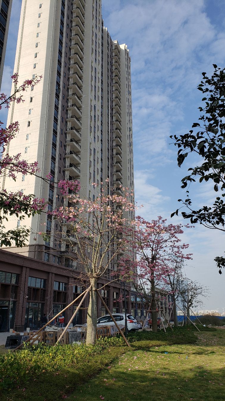 阳江碧桂园世纪城