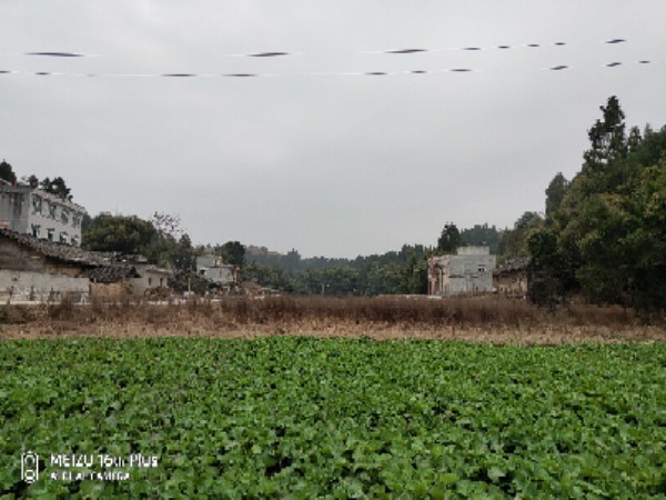 四川省德阳市中江县群桥村